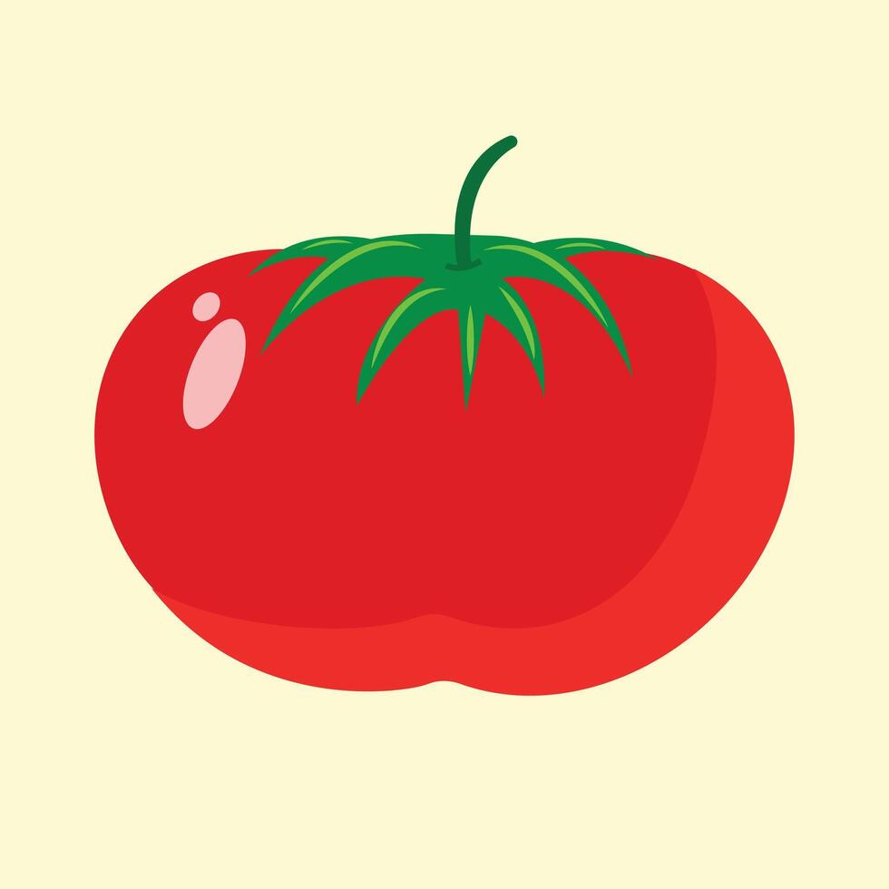 illustration of a red tomato isolated on white , Tomato . Tomato on white background. Tomato in cartoon style vector
