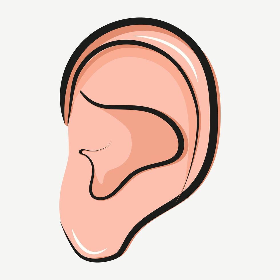 Close Up Human Ear icon. Part Of Body. illustration. vector
