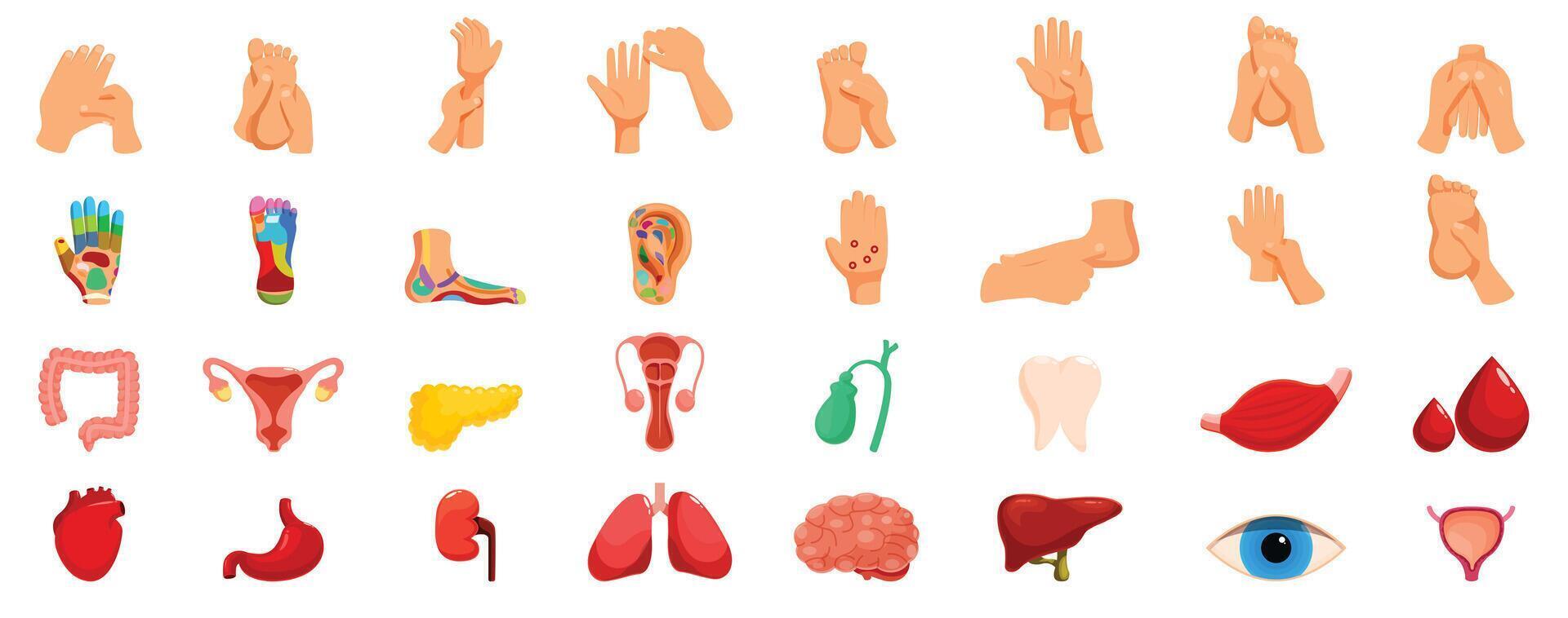 Reflexology icons set. Reflexology icons showing massage and corresponding organs promoting wellness and healing vector