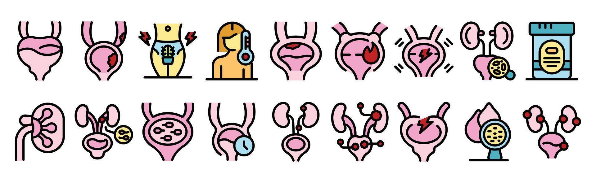 Cystitis symptoms and treatment showing bladder infection, pain and medication vector