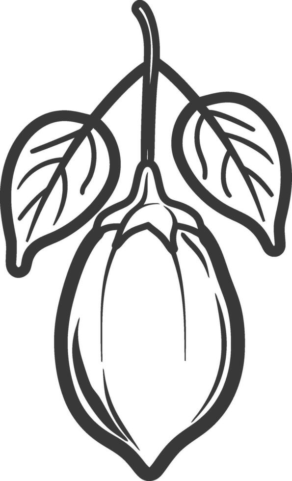 A black and white drawing of a fruit with leaves vector