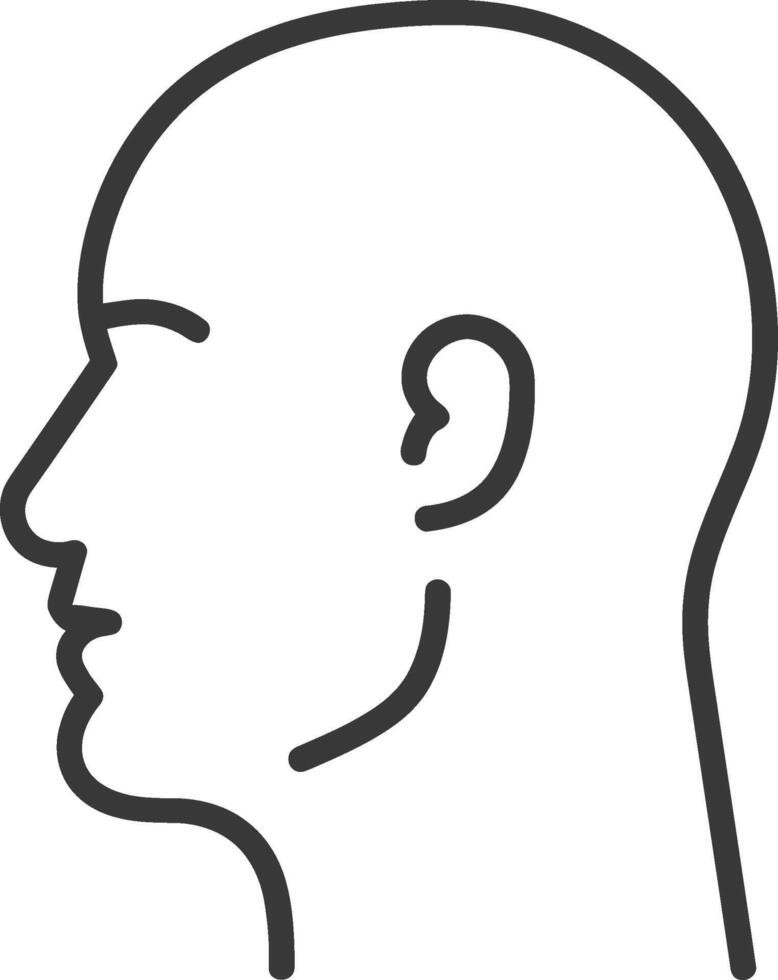 A man's head is shown in a line drawing vector