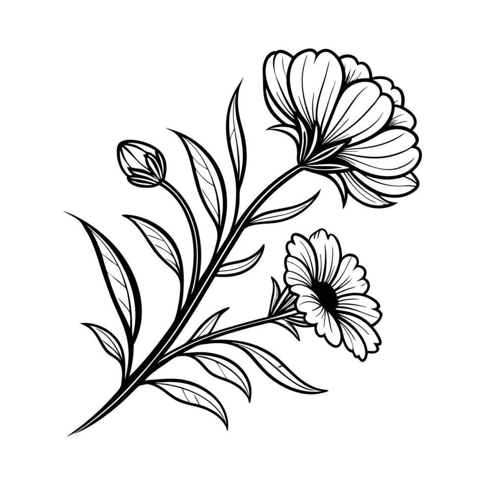 A black and white drawing of a flower vector