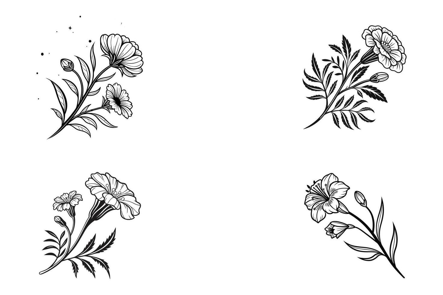 Four black and white flowers on a white background vector
