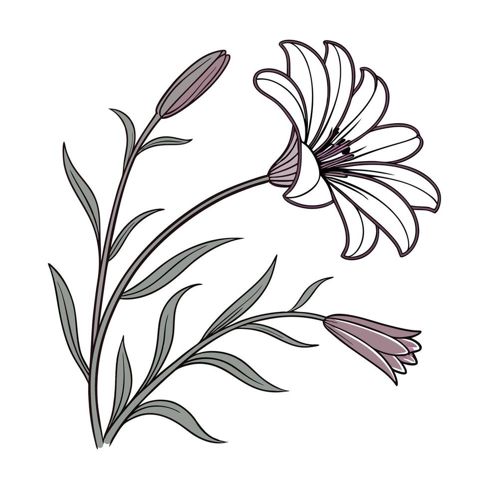 A flower with leaves and stems is shown in this illustration vector