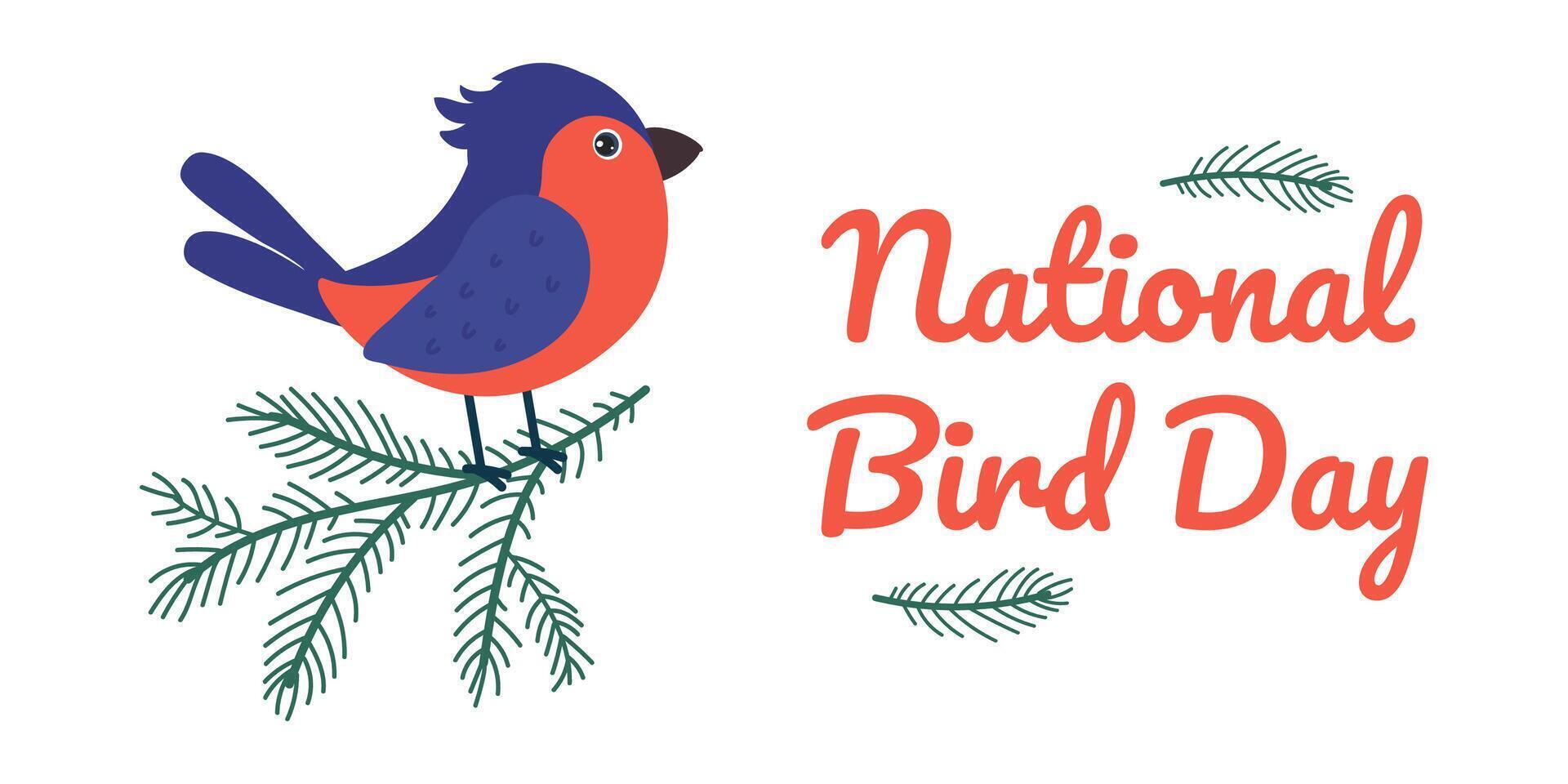 Celebrate National Bird Day with colorful decorations and educational activities vector