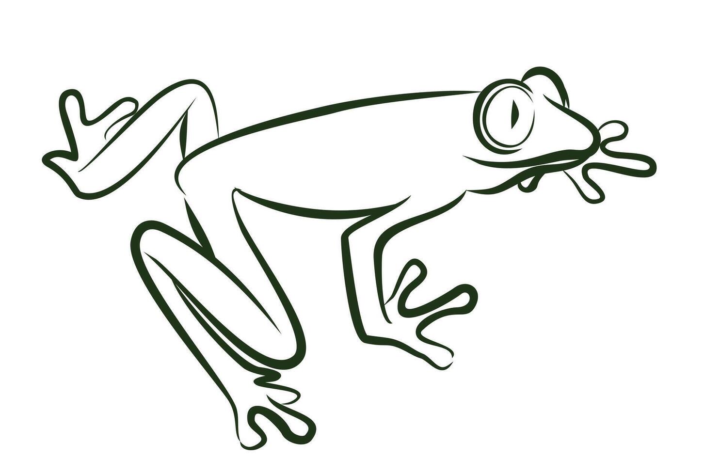 The sketch of a green wild frog. vector