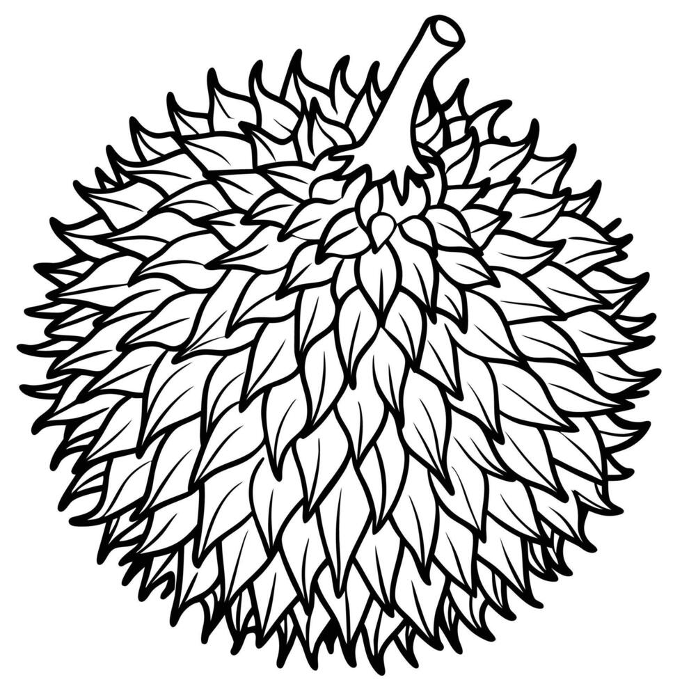 a black and white drawing of a durian fruit vector