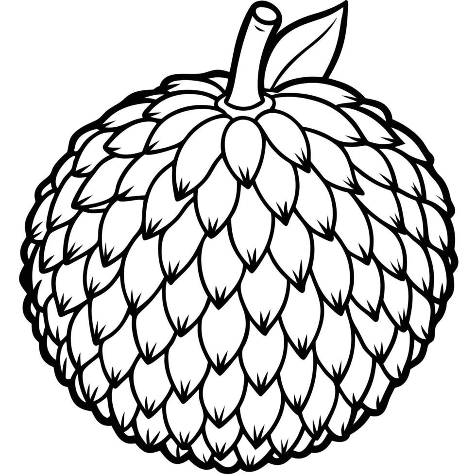 a black and white drawing of a fruit vector