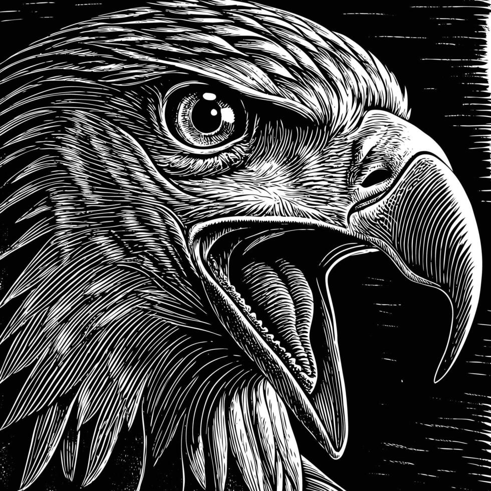 an eagle head in a woodcut style vector