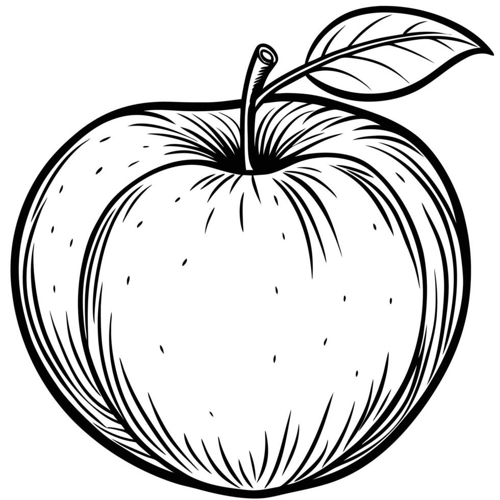 apple coloring pages free printable coloring pages for kids vector