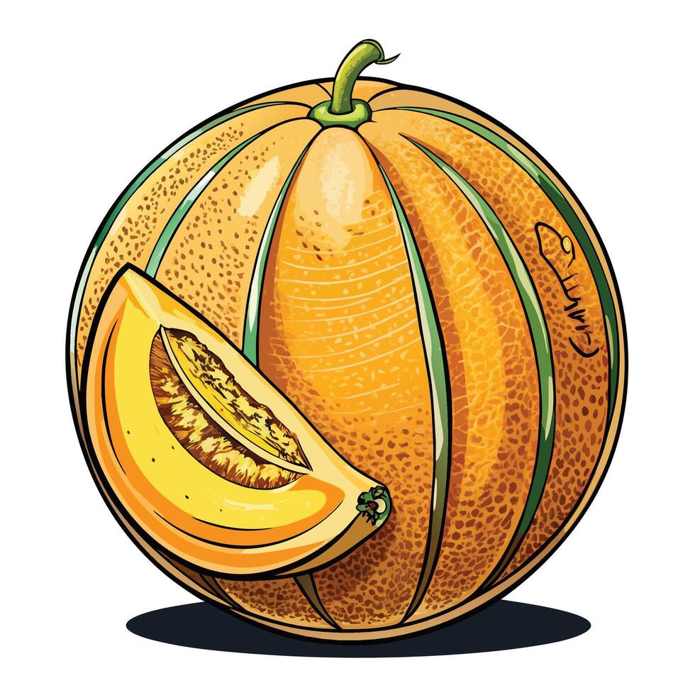 a cartoon drawing of a cantaloupe with a slice taken out vector