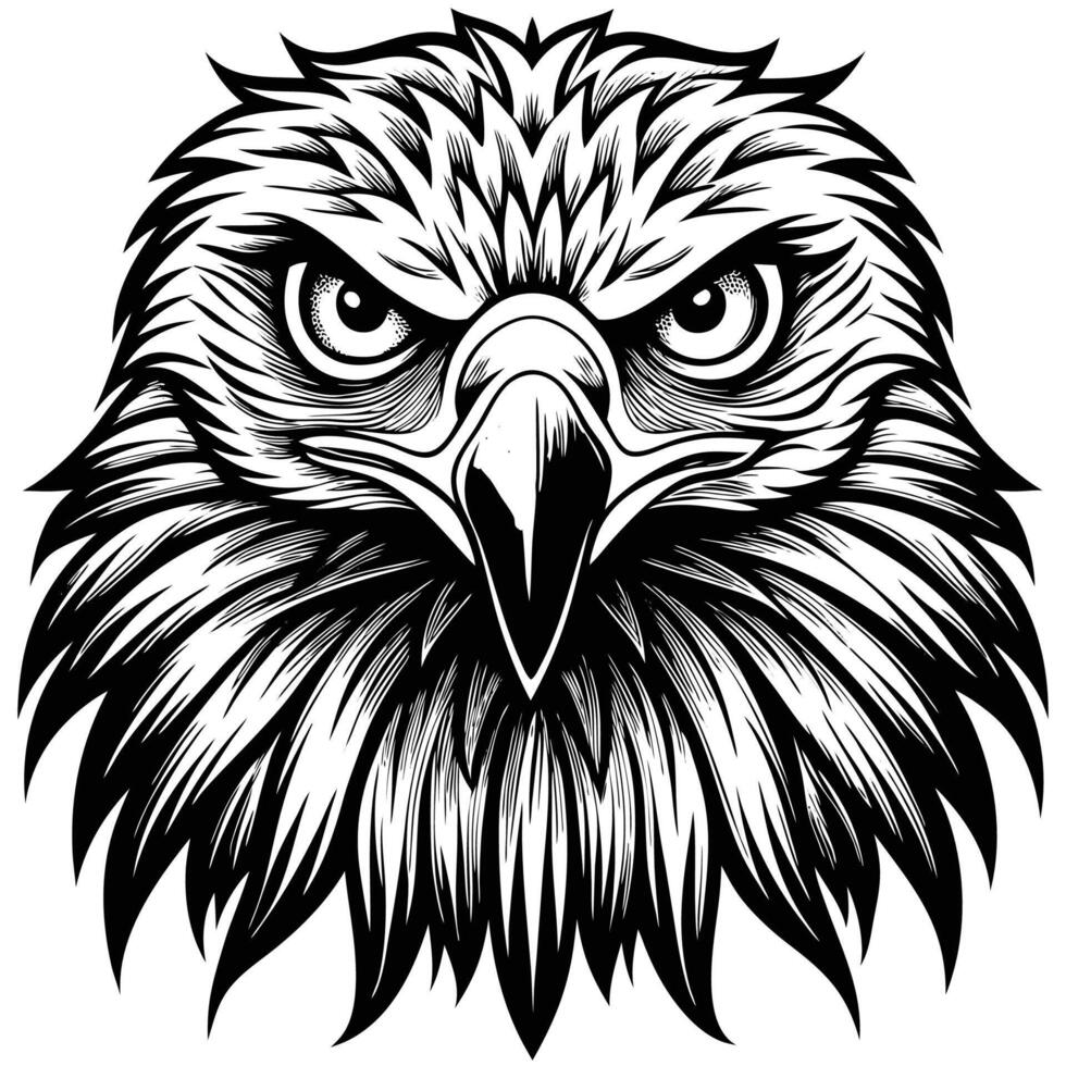 an eagle head with a long beak and long feathers vector