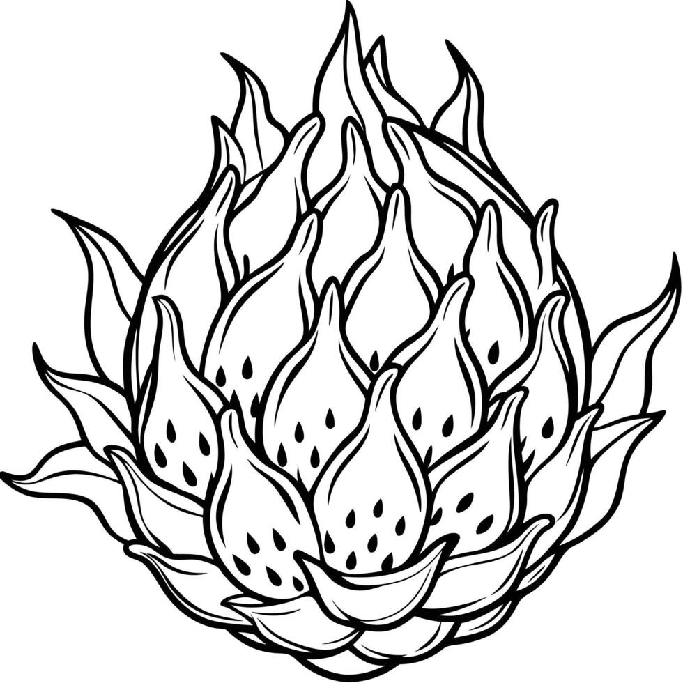artichoke coloring pages artichoke coloring pages vector