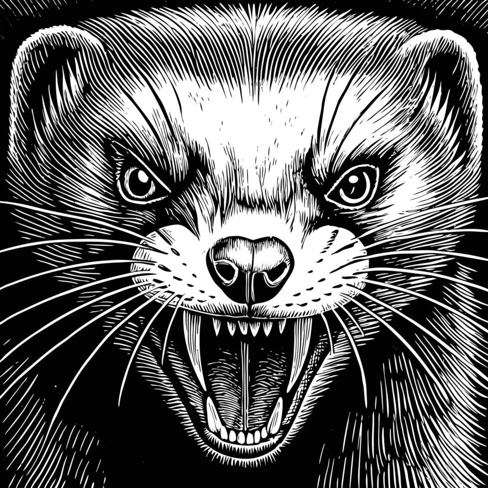 a ferret head in a woodcut style vector