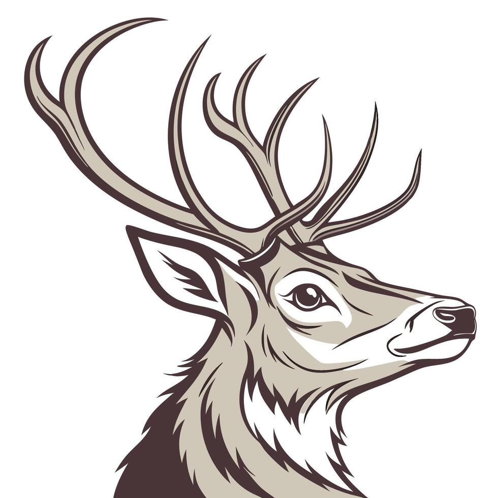 deer head illustration vector