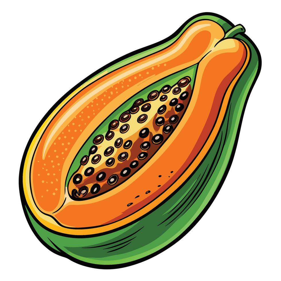 papaya fruit illustration vector