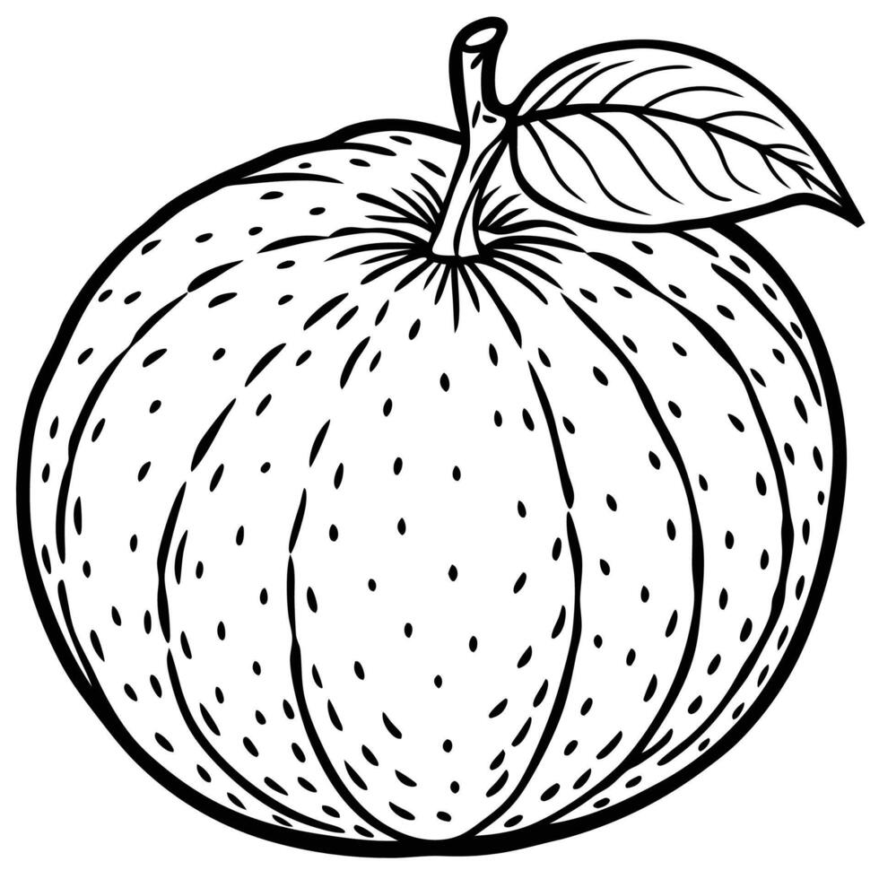an apple is drawn in black and white on a white background vector