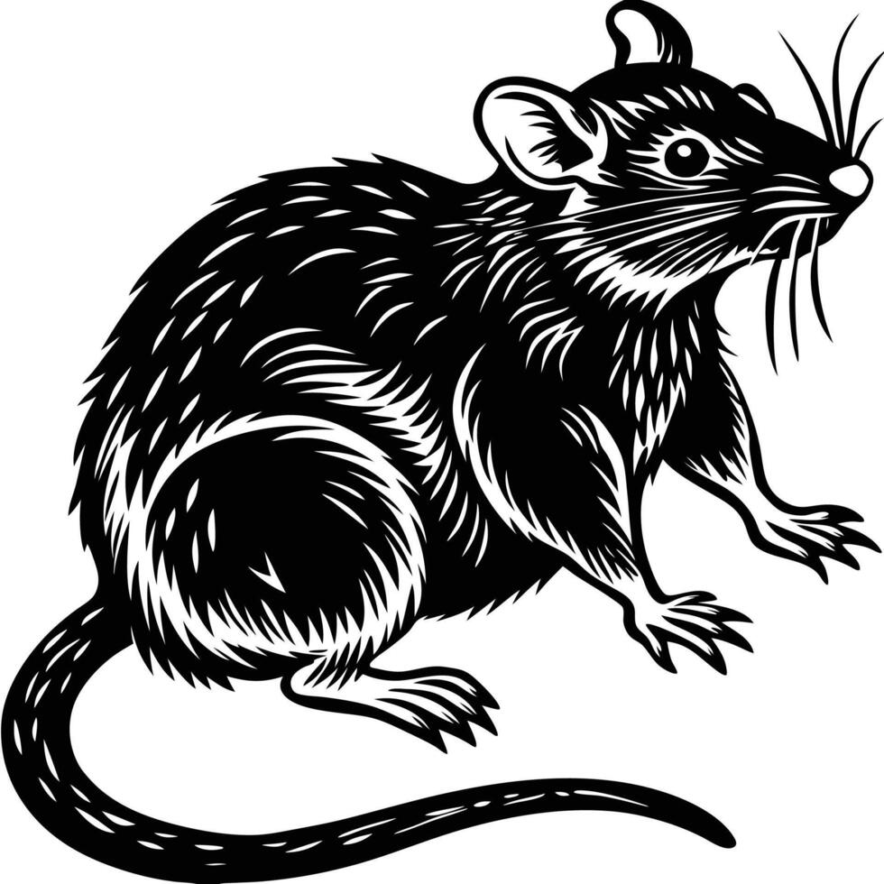 a black and white rat on a white background vector