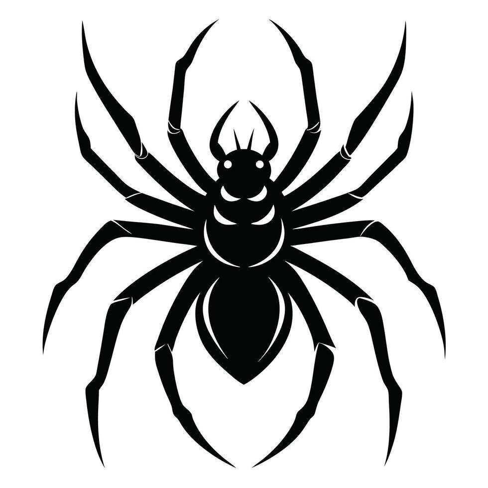 black spider silhouette on white background vector