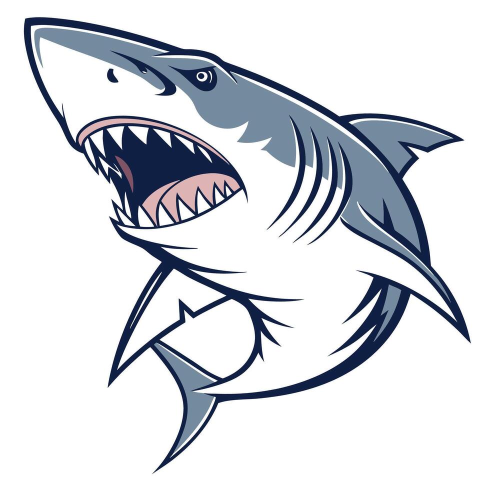 shark illustration art vector