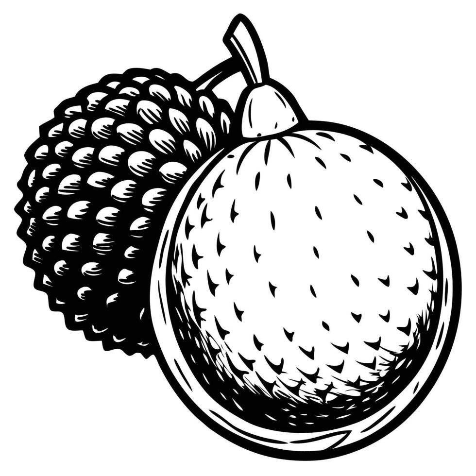 a black and white drawing of a fruit vector