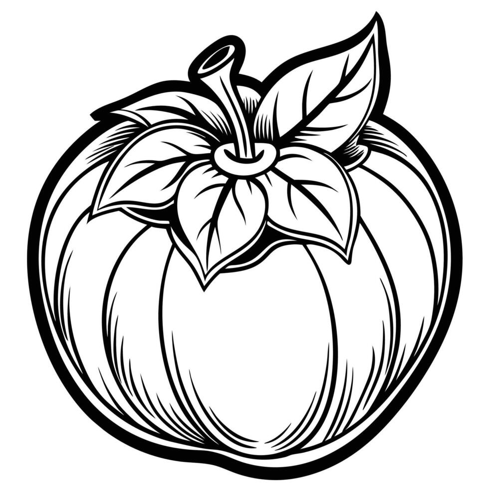 a black and white drawing of a pumpkin with leaves vector