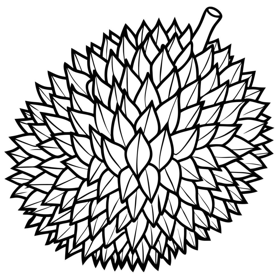 a black and white drawing of a durian fruit vector