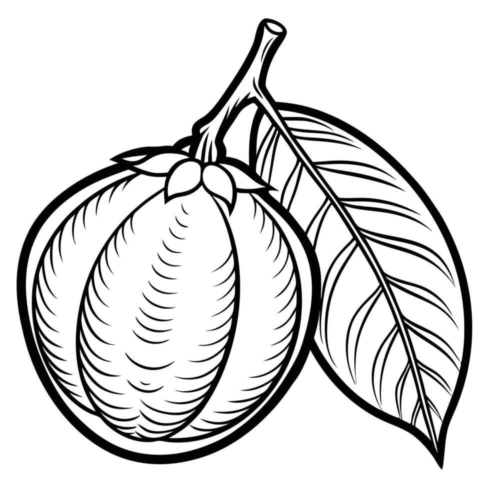an orange fruit with leaves and leaves is shown in this drawing vector