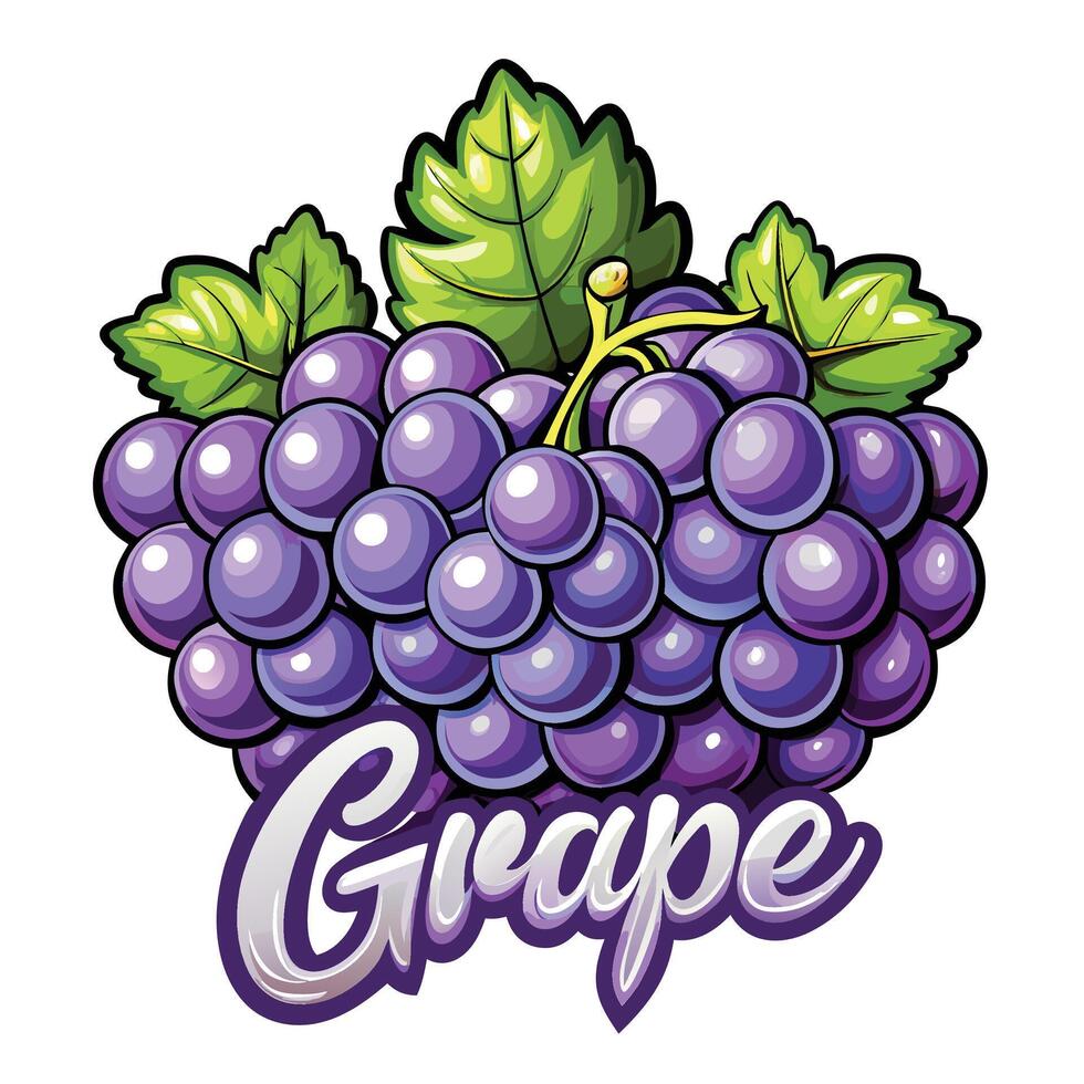 grape logo with purple grapes vector