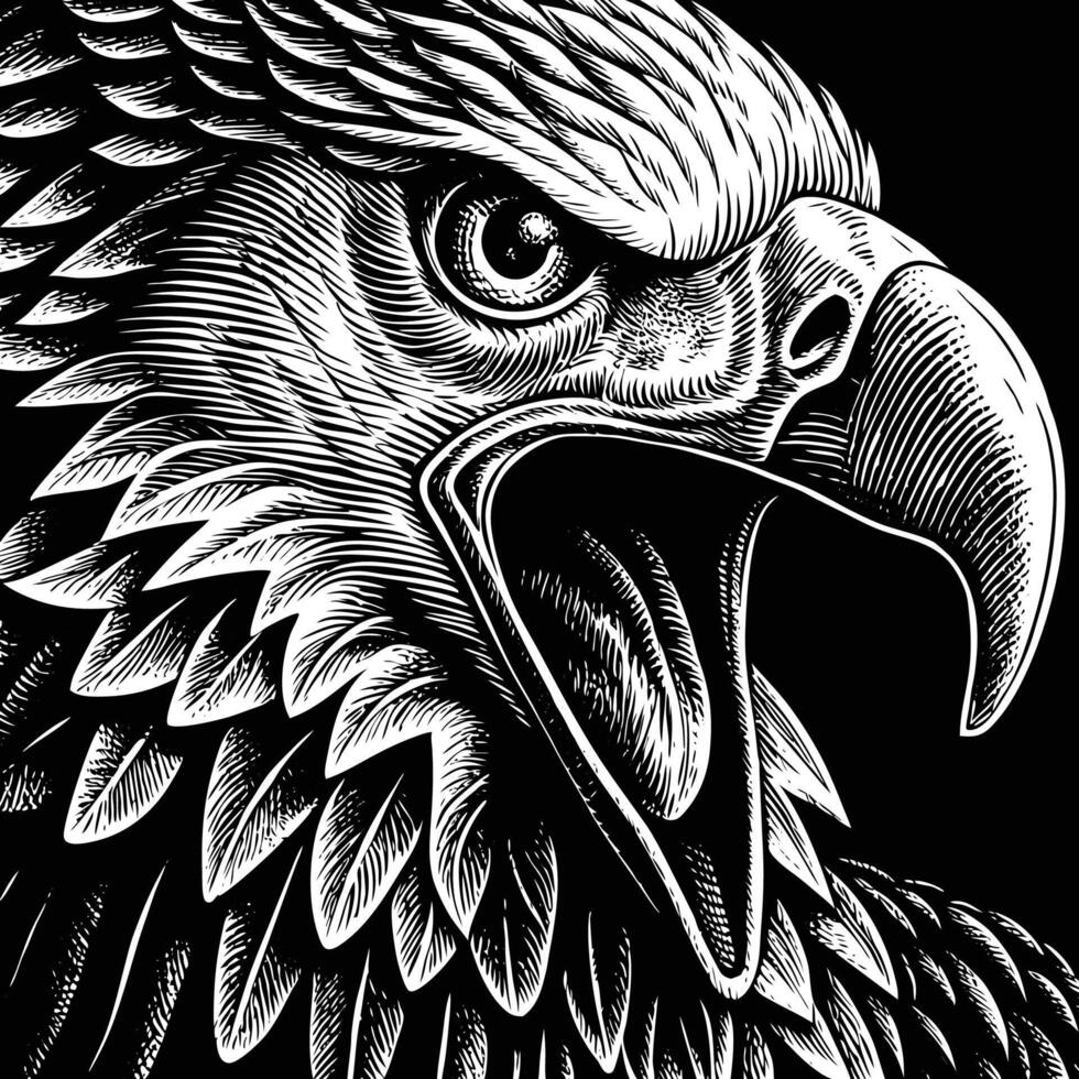 an eagle head in a woodcut style vector