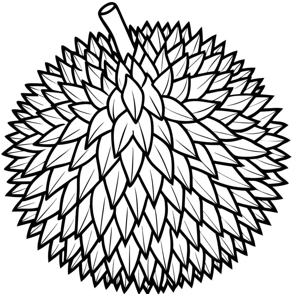 a durian fruit is shown in a black and white drawing vector