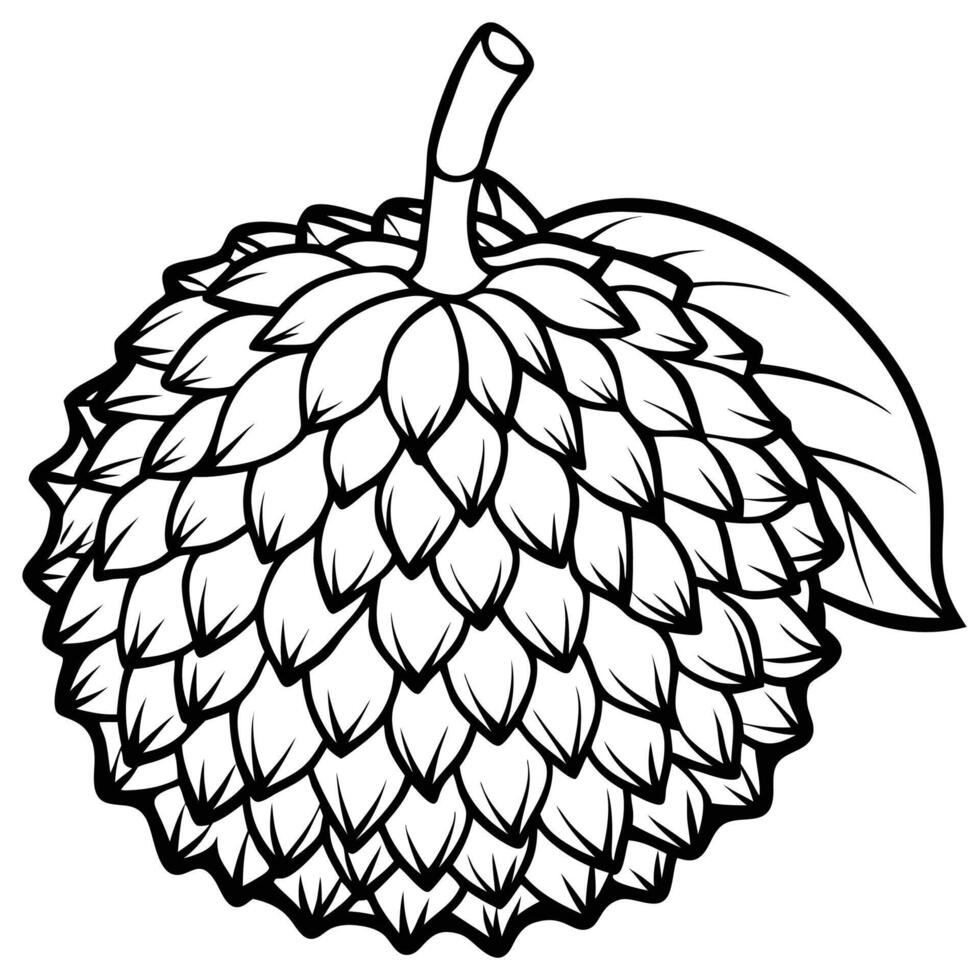 a black and white drawing of a fruit with leaves vector
