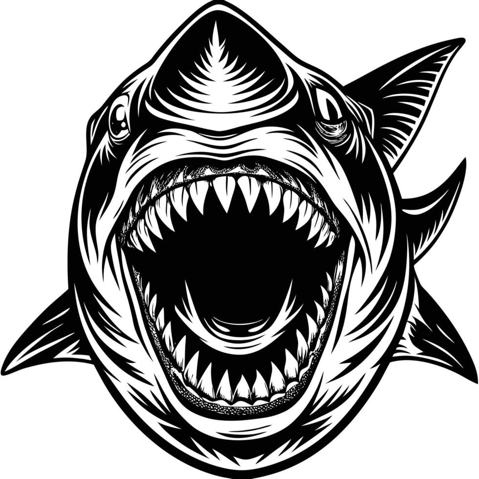 shark head with open mouth and teeth vector