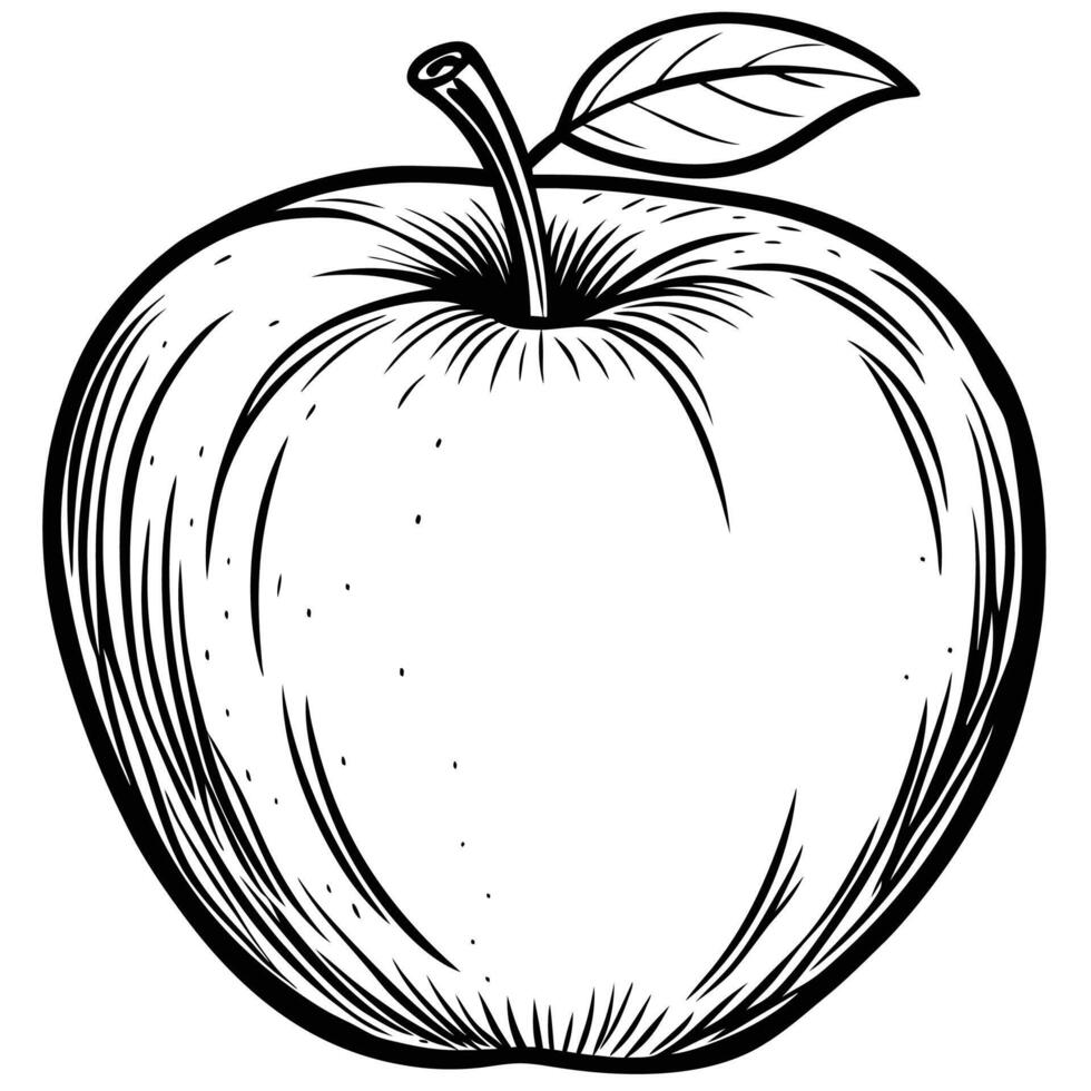 an apple is drawn in black and white on a white background vector