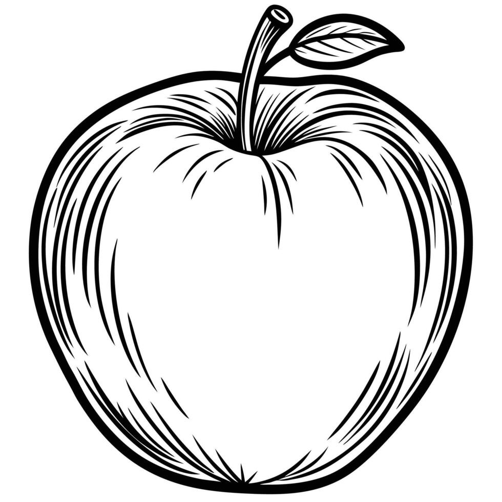 an apple is drawn in black and white on a white background vector