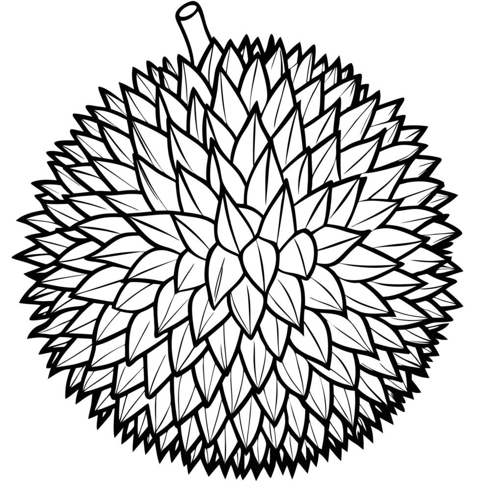 a black and white drawing of a durian fruit vector