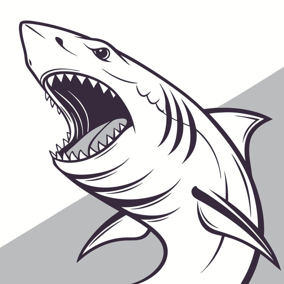 shark with open mouth and teeth on white background vector
