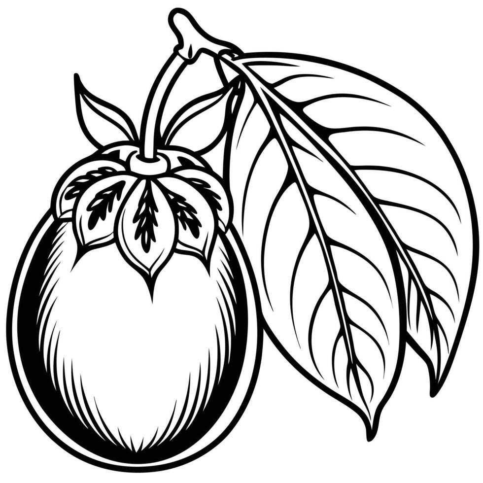 a black and white drawing of a mango with leaves vector
