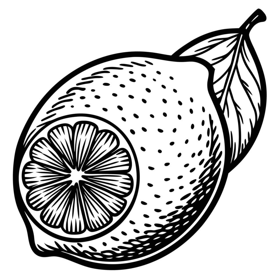 lemon with leaf and slice illustration vector