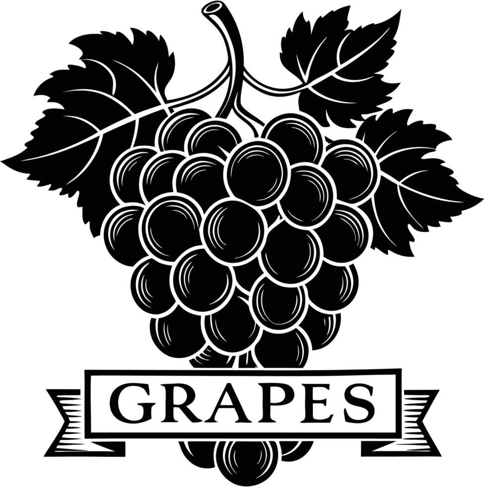 grapes logo with ribbon and leaves vector