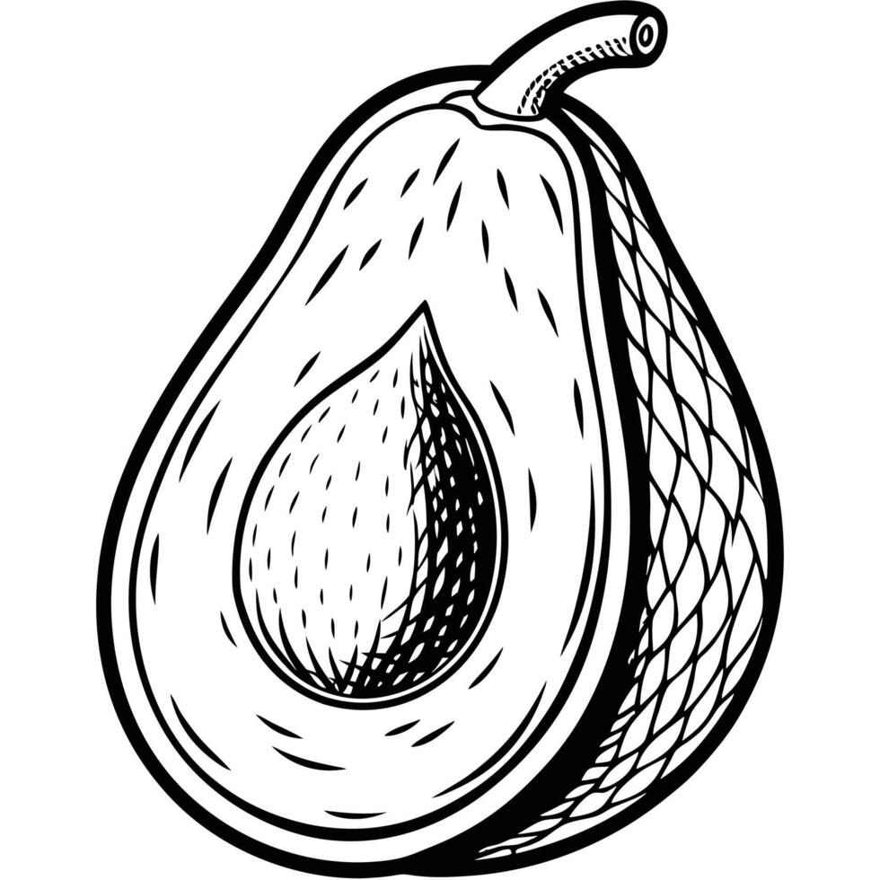 a black and white drawing of an avocado vector