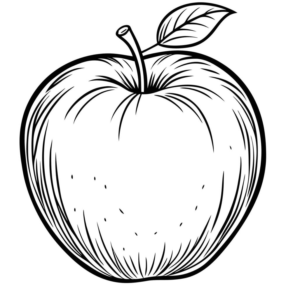 an apple is drawn in black and white on a white background vector