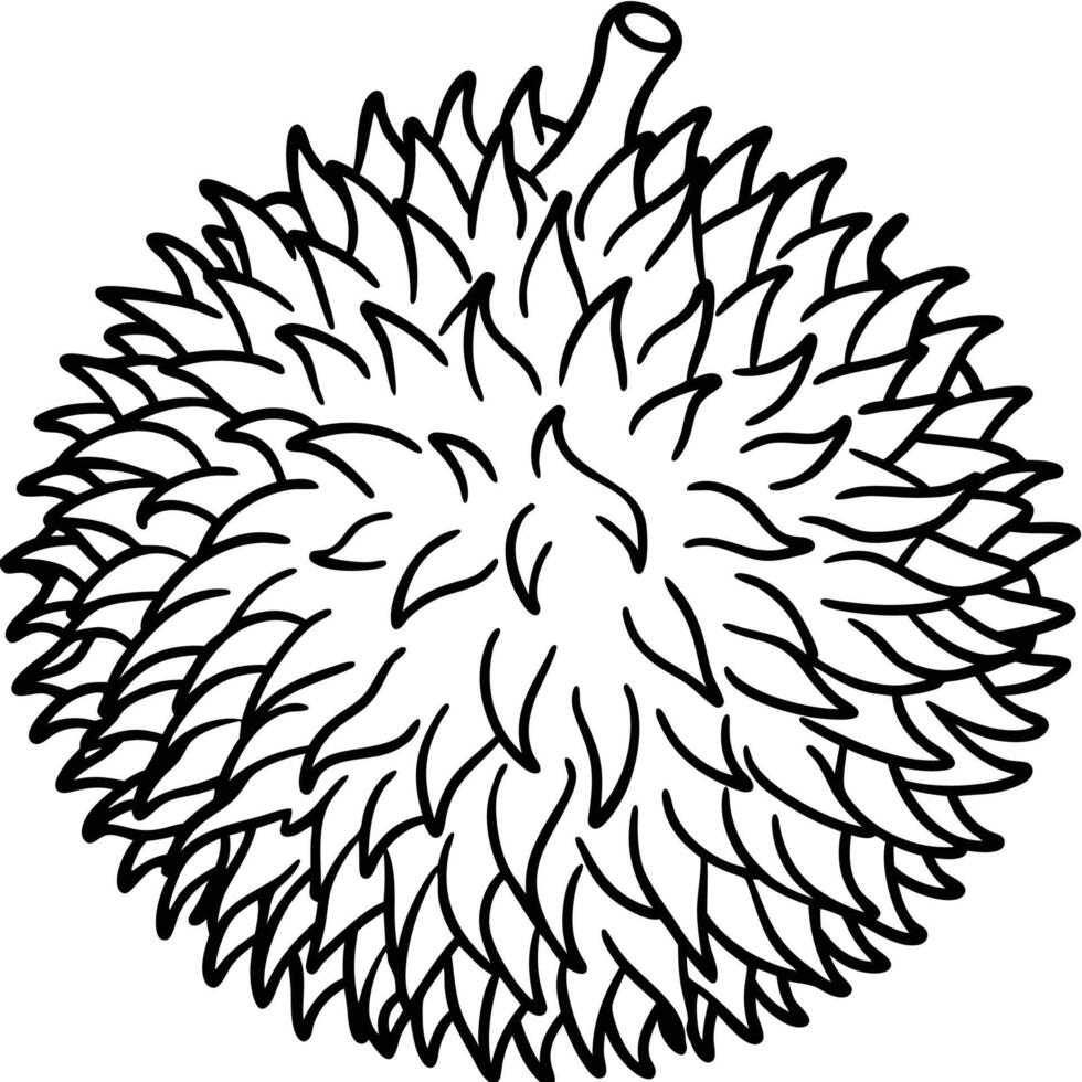 a black and white drawing of a durian fruit vector