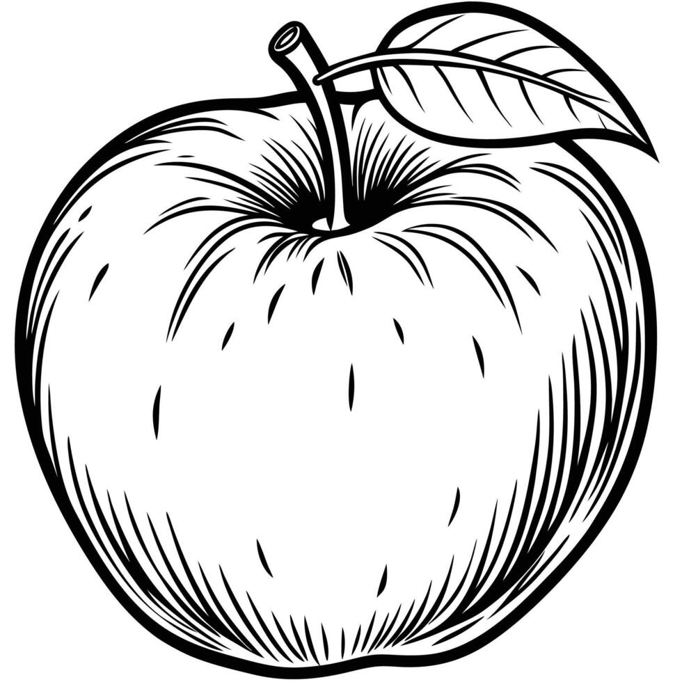 an apple is drawn in a black and white style vector