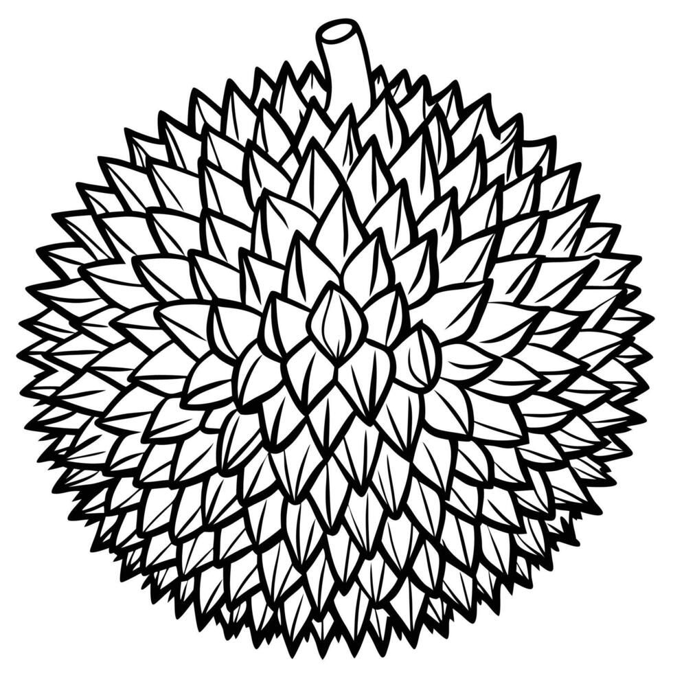a black and white drawing of a durian fruit vector