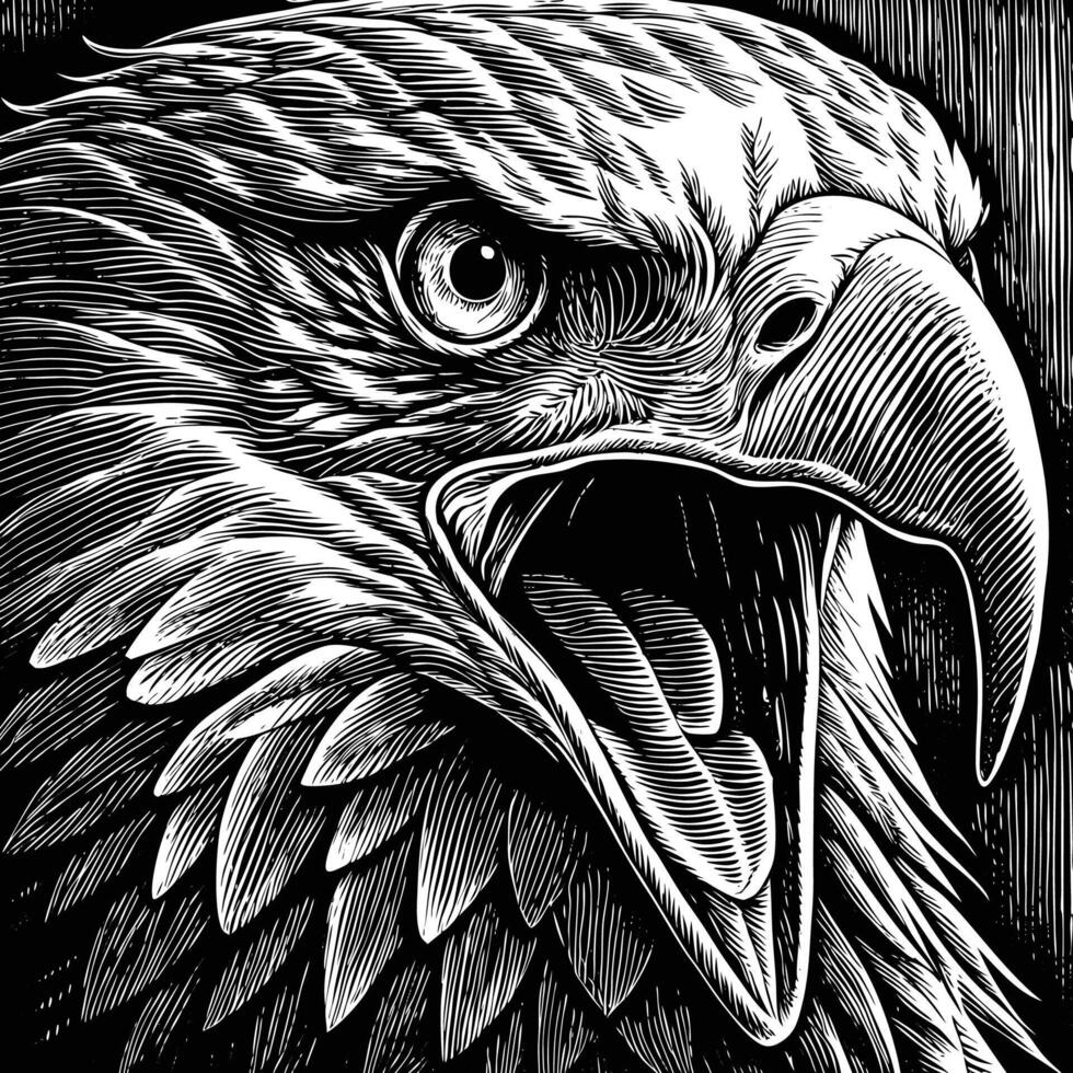 an eagle head in a woodcut style vector