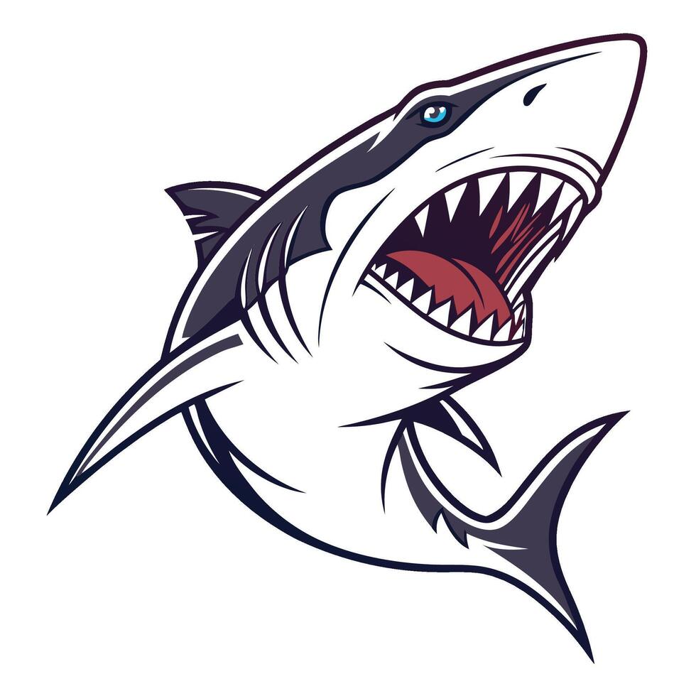 shark illustration art vector