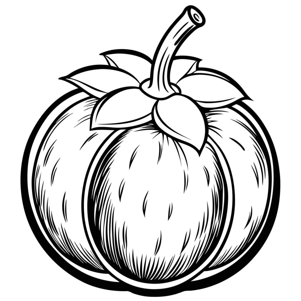 a black and white drawing of a ripe fruit vector