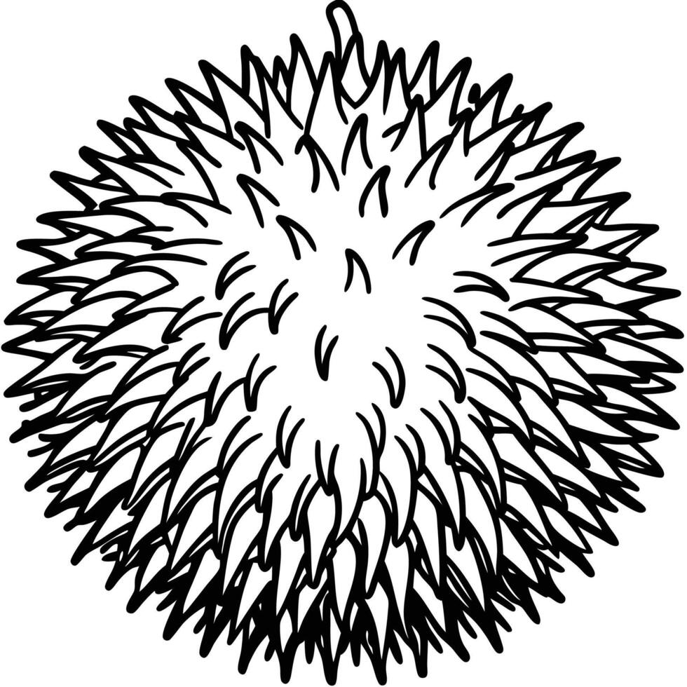 a black and white drawing of a durian fruit vector